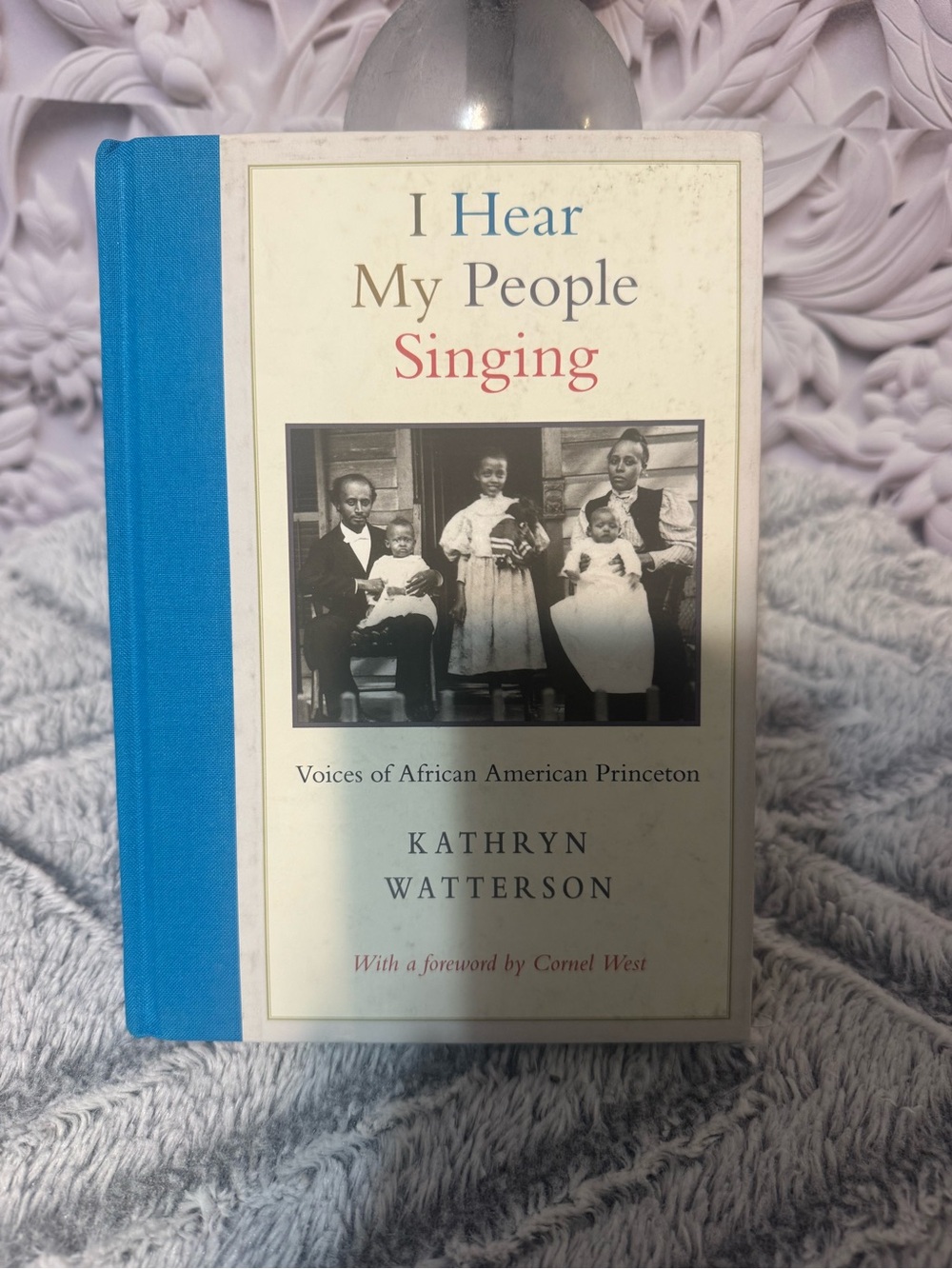 Chronicle Books I Hear My People Singing - Blue and White Cover